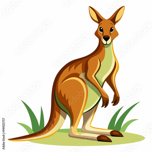 Red Kangaroo Standing on a Grassy Patch