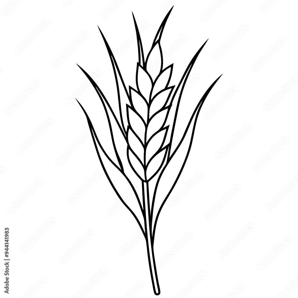 Minimalist Wheat Plant Vector online art White Background Minimalist Wheat Plant Vector online art White Background