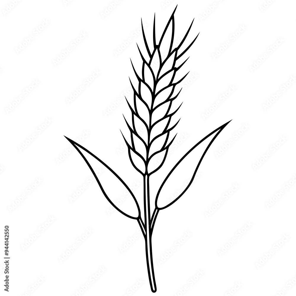 Fototapeta premium Minimalist Wheat Plant Vector online art White Background