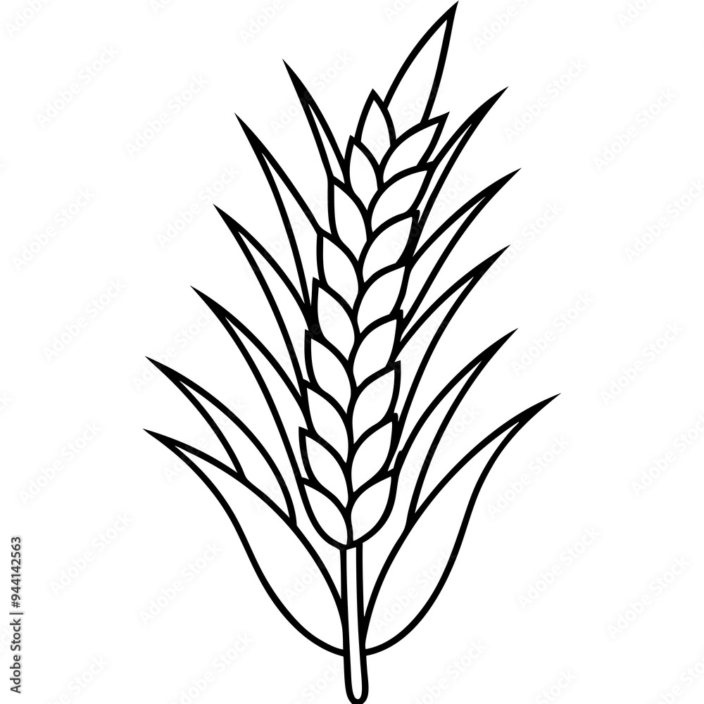 Minimalist Wheat Plant Vector online art White Background Minimalist Wheat Plant Vector online art White Background
