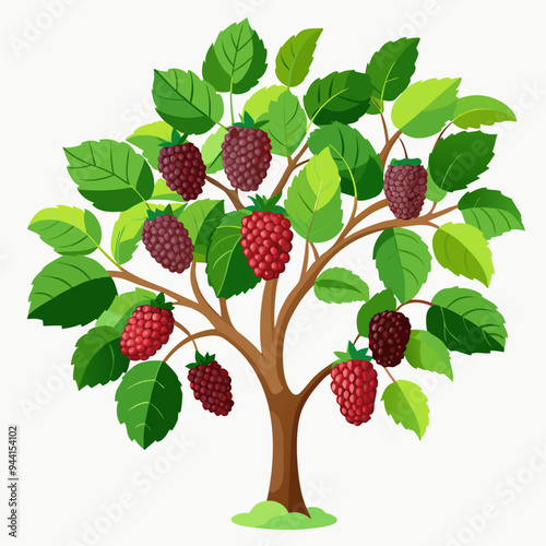 A Fruiting Blackberry Bush with Green Leaves and Ripe Berries