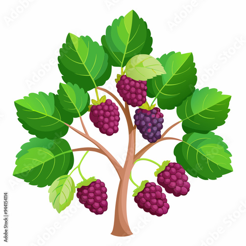 A cartoon illustration of a blackberry bush with ripe berries