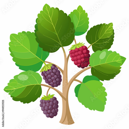 A cartoon illustration of a blackberry bush with three ripe blackberries