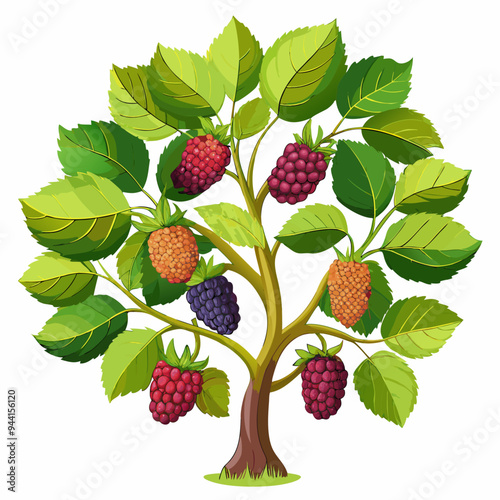 Cartoon Illustration of a Blackberry Bush with Colorful Berries