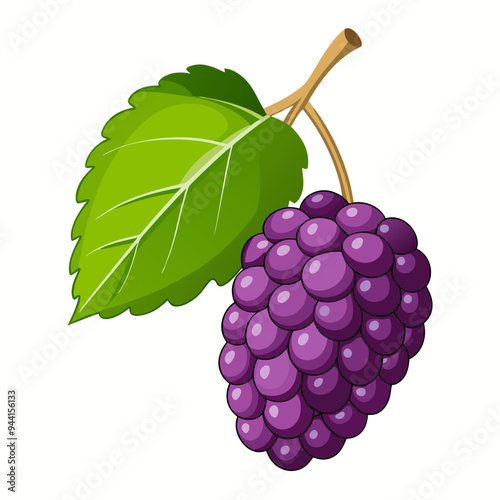 Single Blackberry with Stem and Leaf