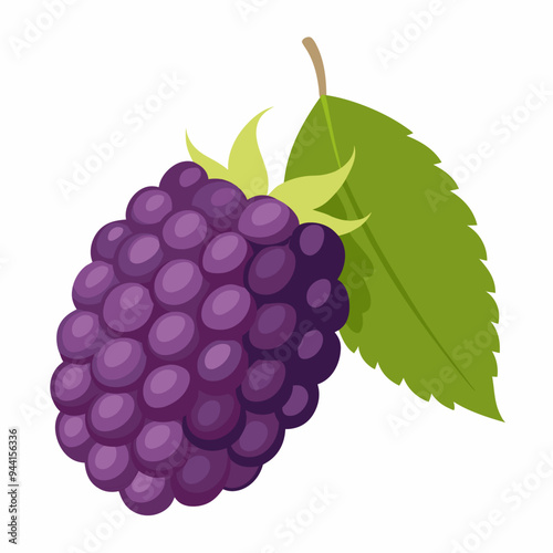 A single ripe blackberry with a green leaf