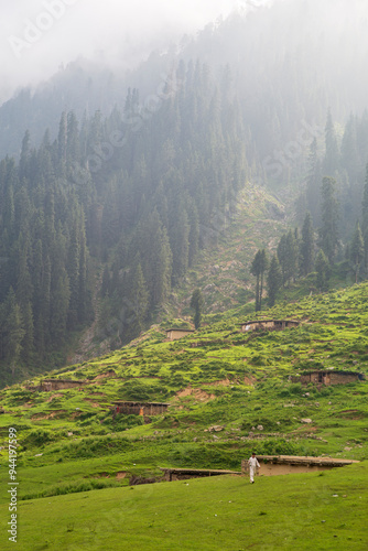 landscape in the morning