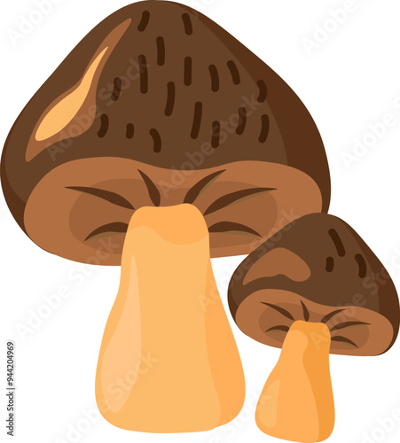Pair of edible porcini mushrooms. Wild bolete mushrooms for preparing aromatic dishes. Simple color cozy illustration. Hand drawn cartoon vector isolated on white background