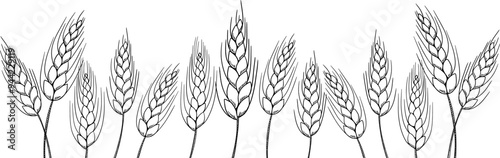 food banner bakery, pastry with wheat, oat, barley, rye, wheat ears stalks, field on yellow background and space for text, copy space