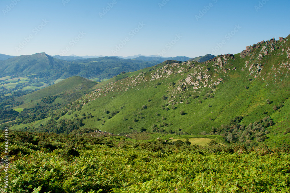 Fototapeta premium View from the top of the mountain to the green valley in swiss alps 