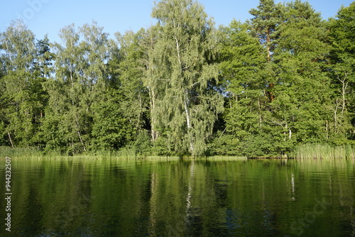 Forest lake and a hot day in late August. Windy and sunny