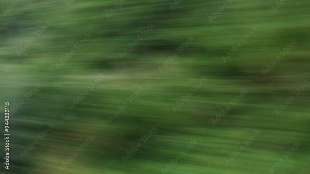 Speeding scenery blur loop.
View from a train window of motion blurred trees and bushes. Loops.