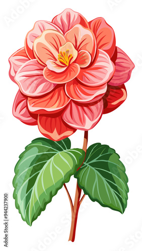 Vibrant Pink Geranium Flowers with Lush Green Leaves Illustration - vector illustration of vibrant geranium flowers with leaves. Perfect botanical design for nature-themed projects, floral decorations