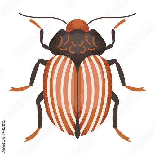 Colorado potato beetle, brown bug. Colorful insect. Nature and biodiversity insect spece. Beetle vector flat illustration. photo