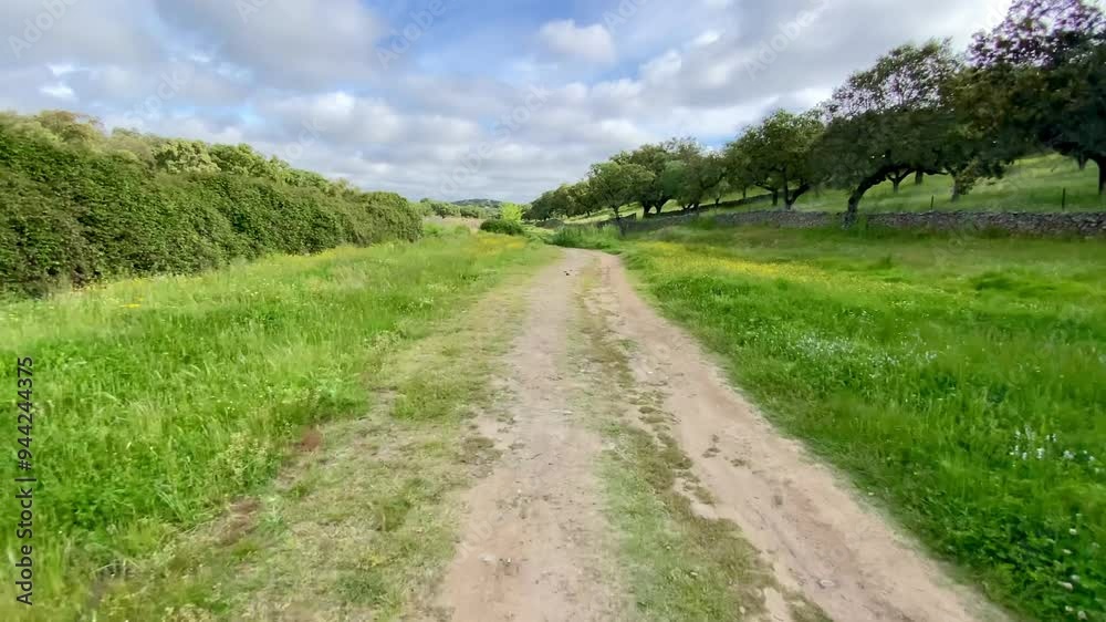 Riding along an earth trail through vibrant green pasture, wildflowers and trees beneath the big blue skies of Andalusia, Spain Riding along an earth trail through vibrant green pasture, wildflowers and trees beneath the big blue skies of Andalusia, Spain