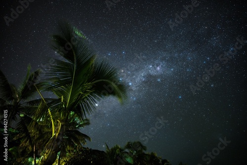 The Milky Way above coconut palm trees on a small island of Fiji. Fiji nighttime beach scene. Stunning night sky over the Yasawa Islands, Fiji. Palm trees, stars, and the Milky Way. 