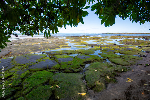 Fishing ponds at Kaloko-Honokohau National Historic Park at Kailua-Kona on the Big Island in Hawaii photo