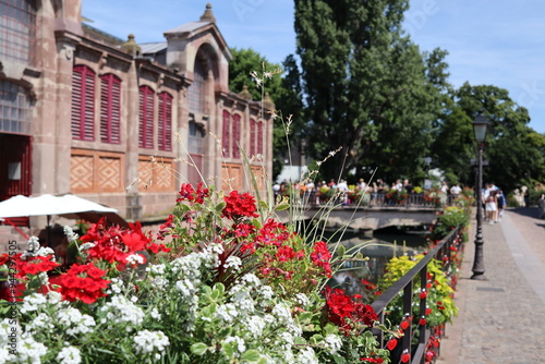 Little Venice, focus on flowers and river, Colmar, France 