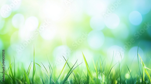 spring background with grass