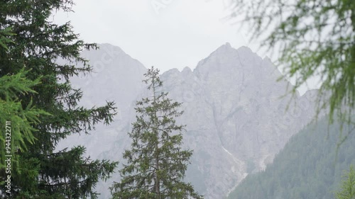 Handheld shot of the Julian Alps on a misty summer morning through green trees, recorded from Camp Spik in Godz Martuljek