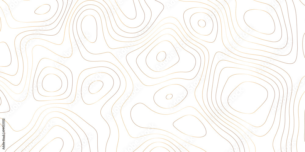 Topography in Abstract: A Vector-Based Study of Contours and Map Textures Topography in Abstract: A Vector-Based Study of Contours and Map Textures