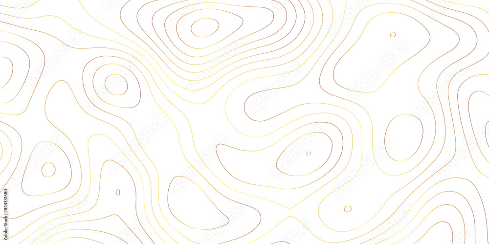 Mapping Texture: Exploring Contour and Vector Art through Abstract Topology Mapping Texture: Exploring Contour and Vector Art through Abstract Topology