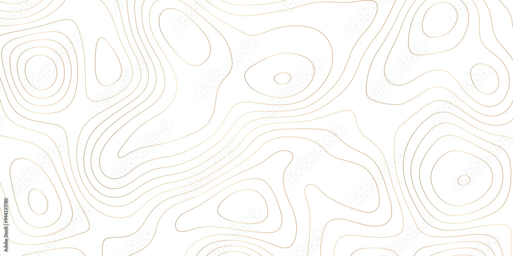 Mapping Texture: Exploring Contour and Vector Art through Abstract Topology Mapping Texture: Exploring Contour and Vector Art through Abstract Topology