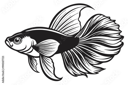 vector illustration of an aquarium fish