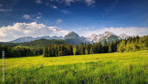 jasna slovakia spring landscape for background