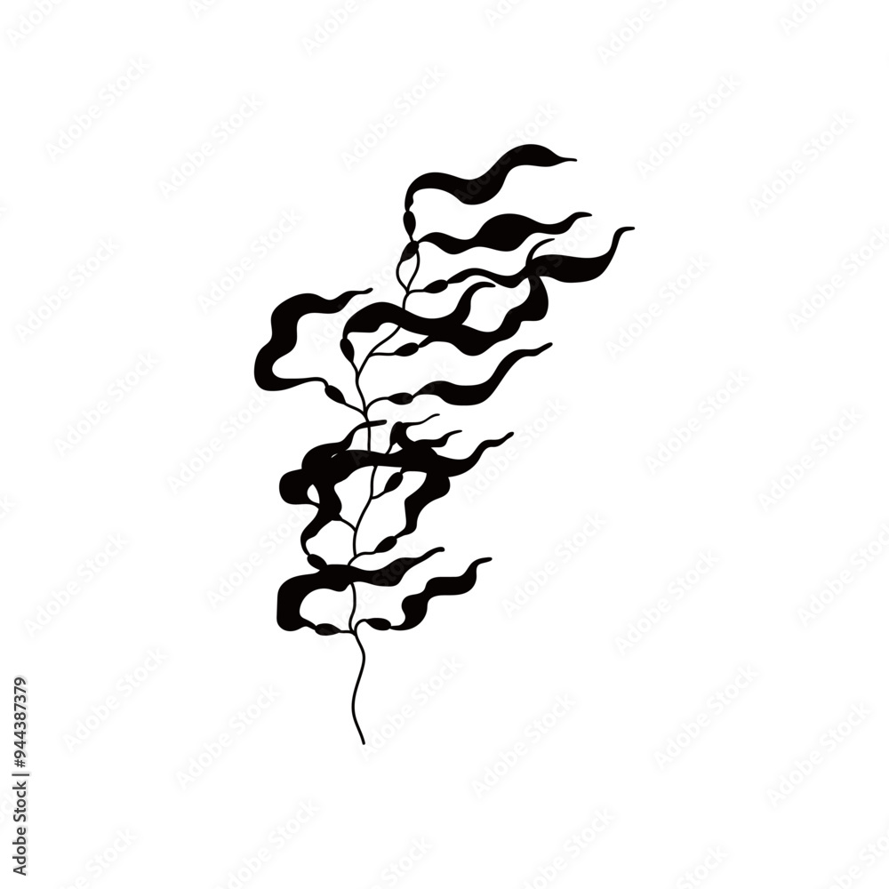 Fototapeta premium Seaweed. Black silhouette. Macrocystis.