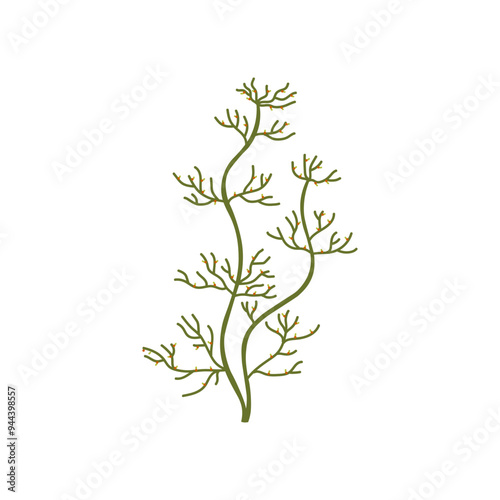 Vector icon of exotic green algae with elegant thin appendages and red elements