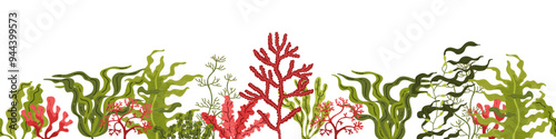 Red and green seaweed. Seamless border at the bottom.