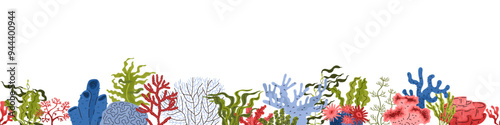 Seaweed and corals vector illustration set