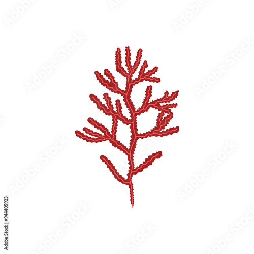 Red seaweed vector illustration