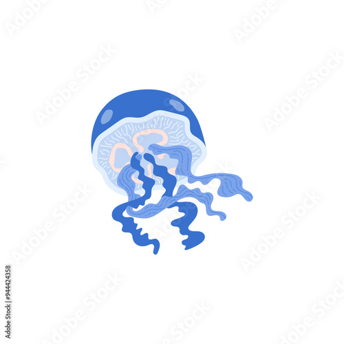 Blue floating translucent jellyfish. Aurelia Aurita.