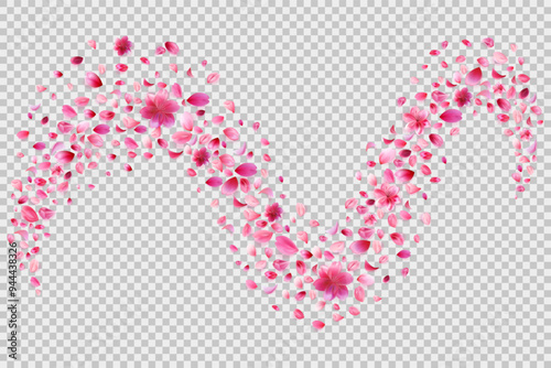 Pink sakura petals trail on transparent png background. Abstract cherry, rose or peach blossom particles flying in magic wind. Stock vector illustration in realistic style.