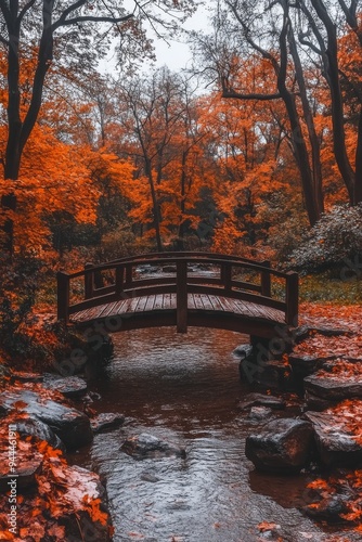 A serene wooden bridge over a creek in a colorful autumn forest on a foggy day