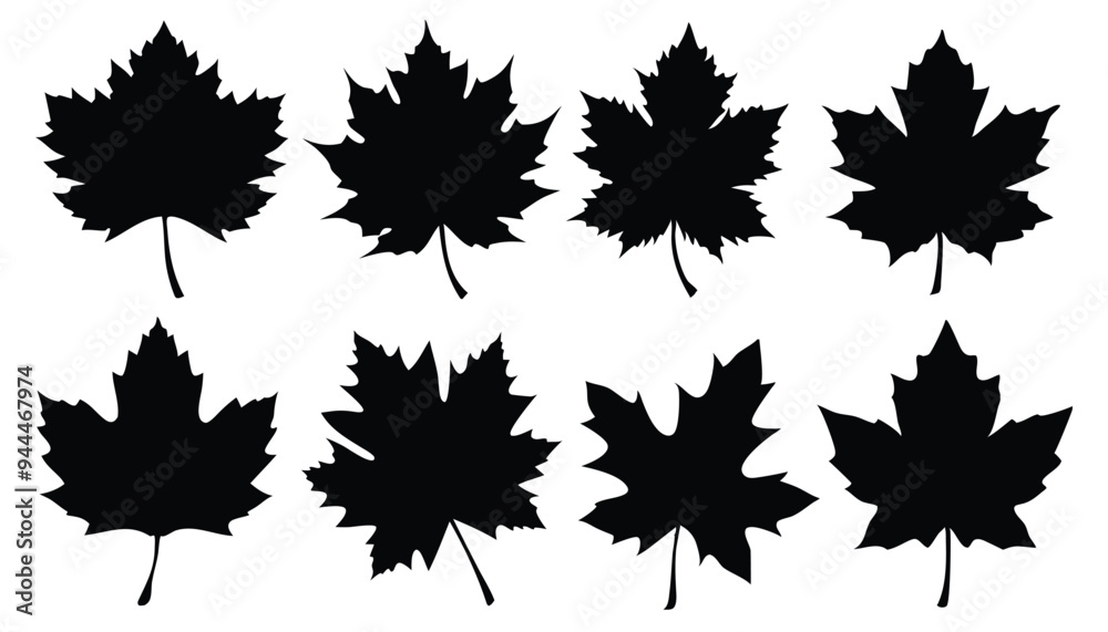 Maple leaves set , Autumn Leaves silhouette set vector illustration