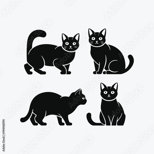 Scottish fold cat silhouette vector template illustration