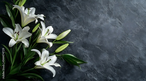 Lilies on a dark background, perfect for funeral concepts or condolence cards with space for personalized messages.
