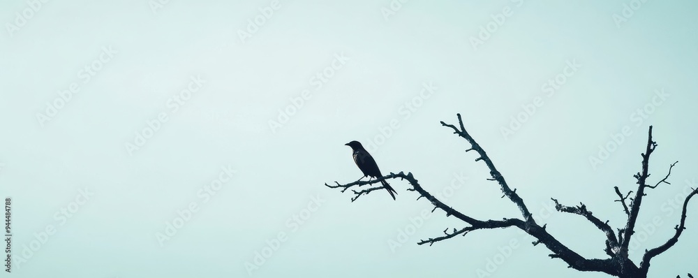 Minimalist image showcasing a solitary bird perched on a barren tree branch against a vast sky Minimalist image showcasing a solitary bird perched on a barren tree branch against a vast sky