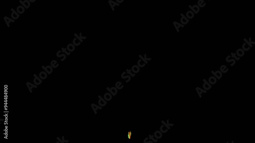 A burst of hand-drawn cartoon confetti shoots from the bottom on a transparent alpha channel.