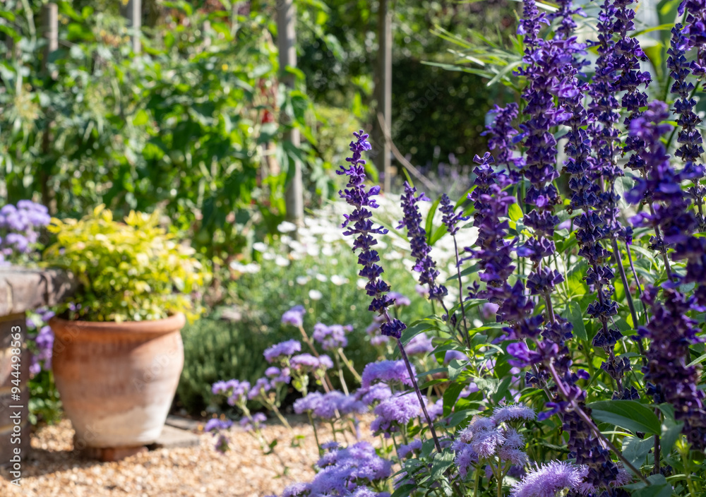 Obraz premium Colourful flower borders, photographed in the August sun at Capel Manor, Enfield UK. 