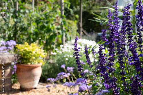 Photography Colourful flower borders, photographed in the August sun at Capel Manor, Enfield UK
