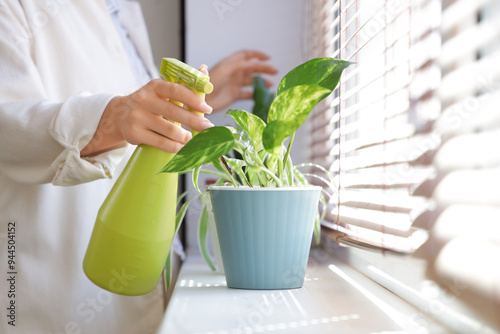 Young woman watering plant on windowsill at home, closeup