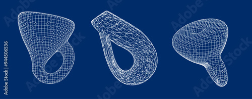 Set of wireframe illustrations of Klein's bottles. Conceptual vector illustrtion of time-space 4D curvature.