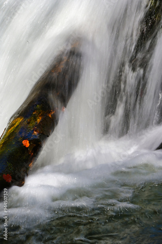 water flowing over rocks in forest