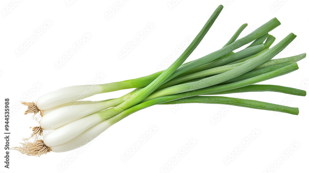 Spring onion side view full length on transparency background PNG Spring onion side view full length on transparency background PNG