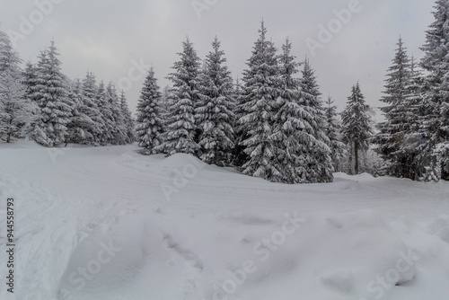 Snow covered road at Mezivrsi in Orlicke hory mountains, Czech Republic