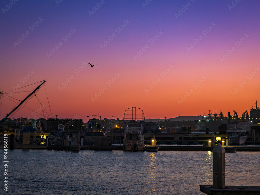 Bird flys over San Diego Harbour off of Downtown with pink and purple sunset boat silhouette Bird flys over San Diego Harbour off of Downtown with pink and purple sunset boat silhouette